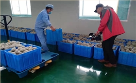 塑料周轉(zhuǎn)箱