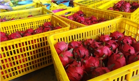 塑料筐尺寸型號 塑料筐尺寸型號