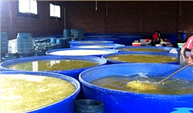 腌菜桶怎樣去味食品加工行業的經驗之談 腌菜桶怎樣去味食品加工行業的經驗之談