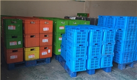 塑料托盤 塑料托盤