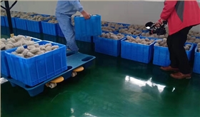 2025年塑料包裝選購指南:從托盤到周轉箱的避坑攻略 2025年塑料包裝選購指南:從托盤到周轉箱的避坑攻略