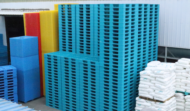 現(xiàn)在塑料托盤價格多少,如何購買塑料托盤?