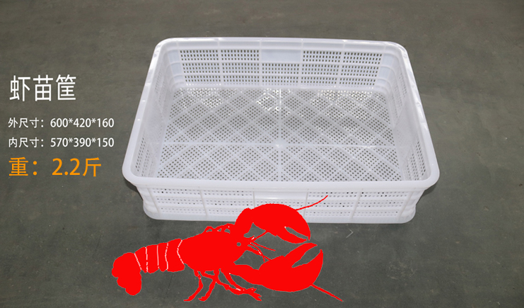 錦尚來上新啦!蝦苗存活率低?蝦苗筐聽完想打人