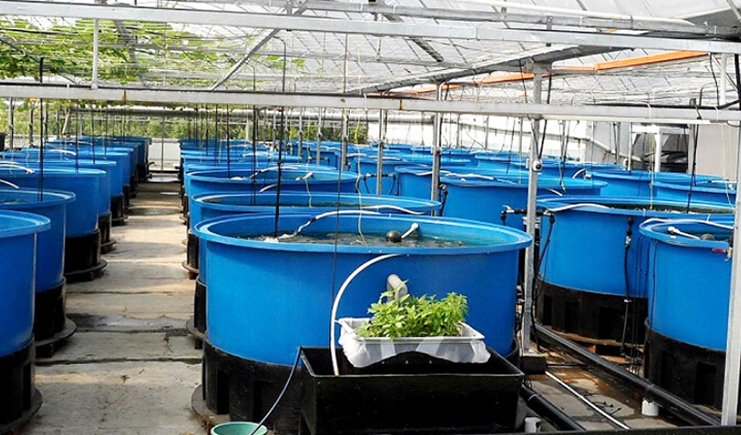 錦尚來水產養殖容器結實耐用，抗腐蝕、耐熱耐凍性佳