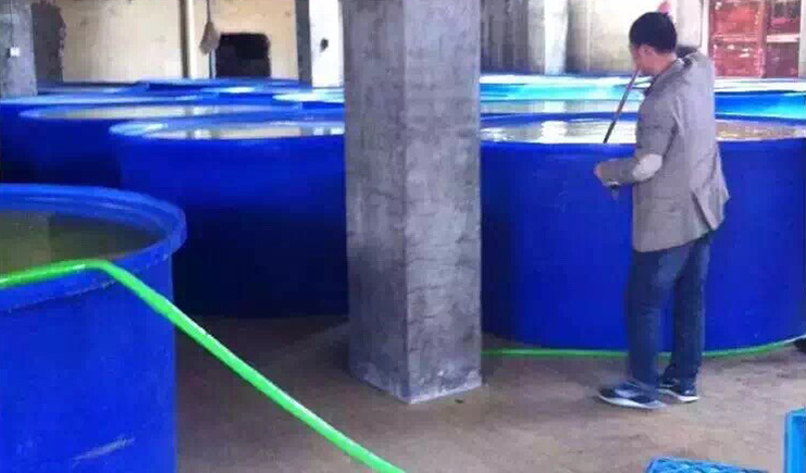 水產養殖戶來我司采購塑料圓桶，加工定制一條龍！