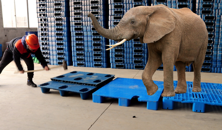 塑料托盤廠家分析托盤在不同行業(yè)中的使用優(yōu)勢(shì)