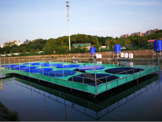 d手握技術(shù)關(guān)鍵“芯片”江蘇常州塑料漁船走上高質(zhì)量發(fā)展道路