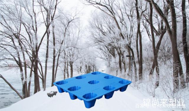 耐低溫塑料托盤的誕生記！零下40度也能用！