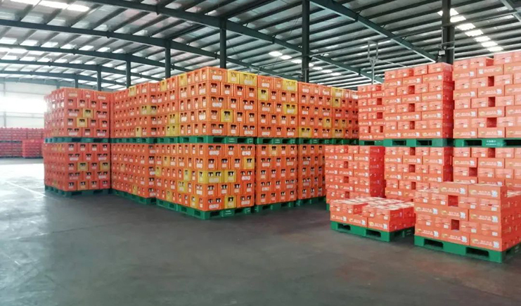 不同結構的倉庫，使用什么規格的塑料托盤呢？