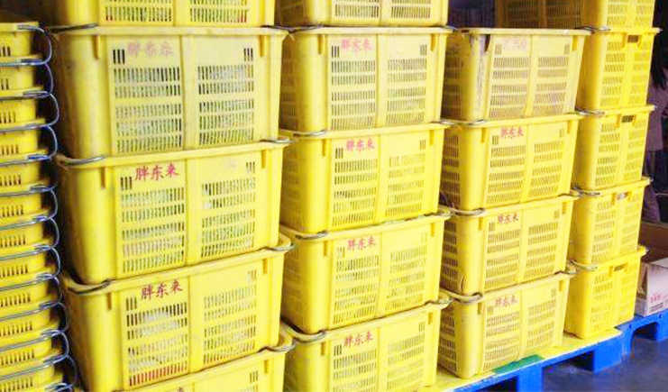 蔬菜保鮮冷庫有什么特點?適合使用什么規(guī)格的塑料托盤?