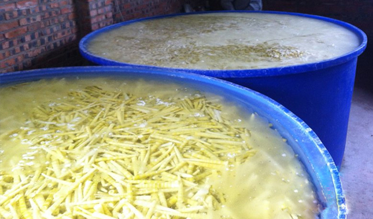 塑料桶能腌菜嗎?怎么腌制春筍好吃你知道嗎?