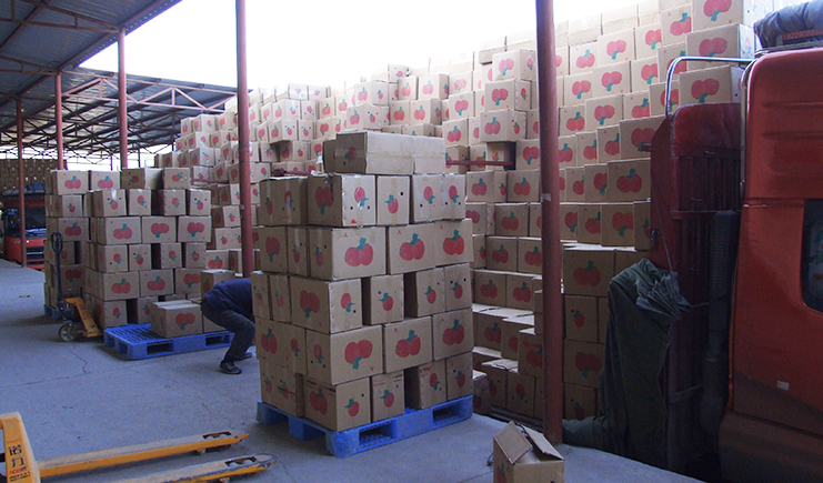 備戰雙十一！各大經銷商你的倉庫塑料托盤準備好了嗎？