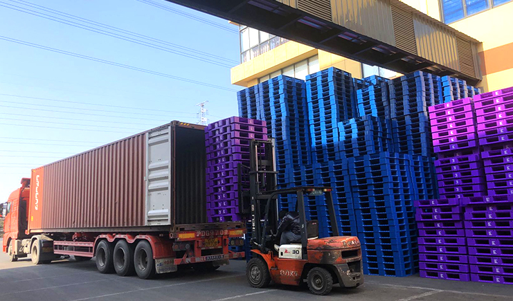塑料托盤可以出口嗎？詳解出口標準、國際規格與應用趨勢
