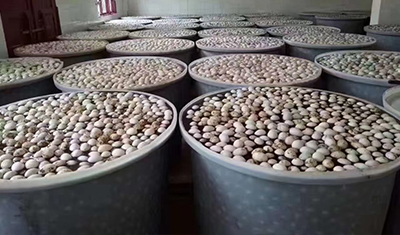 塑料桶能腌咸雞蛋嗎？看看工廠老師傅的經(jīng)驗之談！