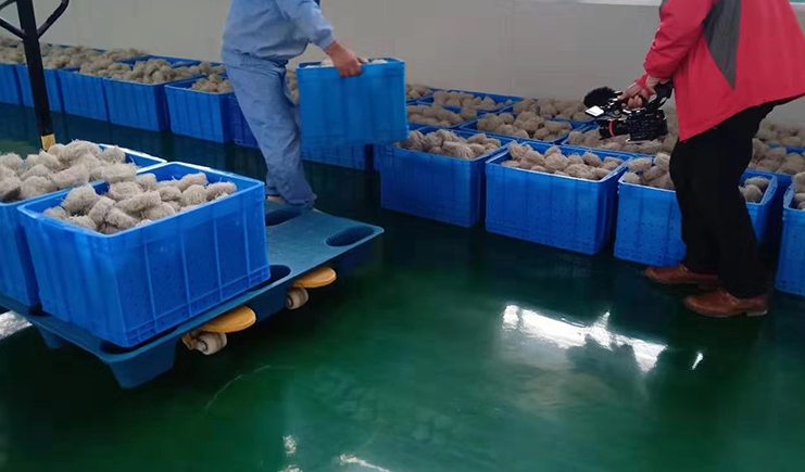 2025年塑料包裝選購指南：從托盤到周轉(zhuǎn)箱的避坑攻略